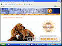 Greater Vancouver Pets & Animals: Canada West Veterinary Specialists and Critical Care Hospital