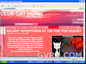 Greater Vancouver Cats - Club Cat Hotel