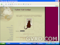 Greater Vancouver Pets & Animals: Cyber Cat Lodge