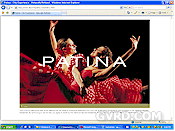 Vancouver Real Estate New Housing Development: Patina