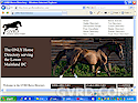Greater Vancouver Pets & Animals: GVRD Horse Directory