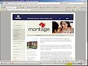 Burnaby Real Estate New Housing Development: Montage