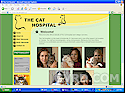 Greater Vancouver Pets & Animals: The Cat Hospital