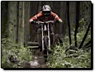 Greater Vancouver Recreation Video: Mountain Biking the North Shore