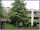 Coquitlam Rental Property: Adelaide Apartments