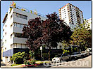 Vancouver Rental Property: Casa Del Vandt