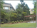 Coquitlam Rental Property: Cedarway Apartments