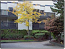 Surrey Rental Property: Doncaster Apartments