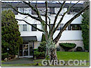 Vancouver Rental Property: Shields Apartments