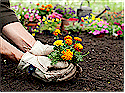 Greater Vancouver Gardening Directory