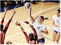 Greater Vancouver Volleyball Directory